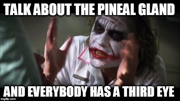 Is he joking about this "spirituality"? | TALK ABOUT THE PINEAL GLAND; AND EVERYBODY HAS A THIRD EYE | image tagged in memes,and everybody loses their minds,third eye,pineal gland,pineapple | made w/ Imgflip meme maker