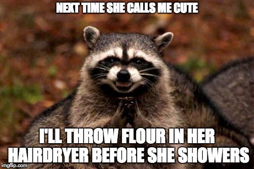 Evil Plotting Raccoon | NEXT TIME SHE CALLS ME CUTE; I'LL THROW FLOUR IN HER HAIRDRYER BEFORE SHE SHOWERS | image tagged in memes,evil plotting raccoon | made w/ Imgflip meme maker