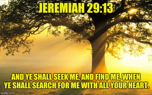 nature | JEREMIAH 29:13; AND YE SHALL SEEK ME, AND FIND ME, WHEN YE SHALL SEARCH FOR ME WITH ALL YOUR HEART. | image tagged in nature | made w/ Imgflip meme maker