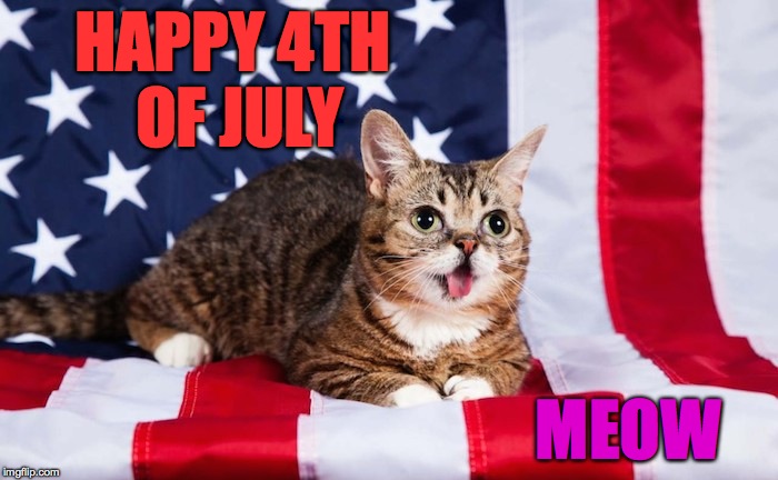 Meow | HAPPY 4TH OF JULY; MEOW | image tagged in memes,funny,4th of july,animals,cute,america | made w/ Imgflip meme maker