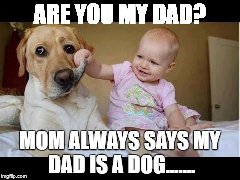 ARE YOU MY DAD? MOM ALWAYS SAYS MY DAD IS A DOG....... | image tagged in doogg | made w/ Imgflip meme maker