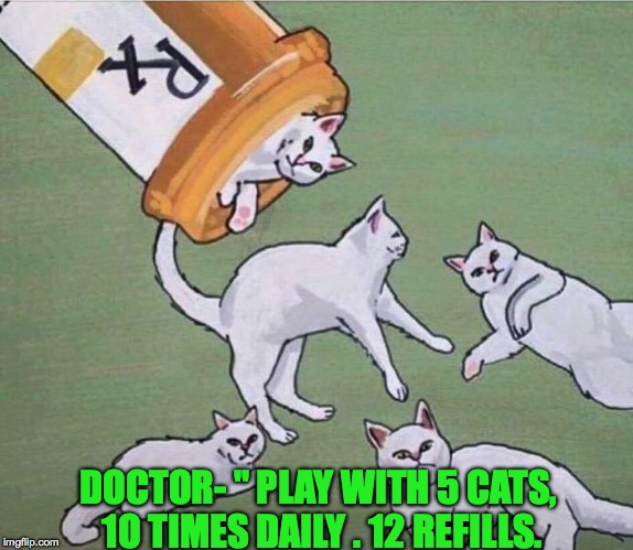 True Story | DOCTOR- " PLAY WITH 5 CATS, 1O TIMES DAILY . 12 REFILLS. | image tagged in memes,funny,cats,medicine,animals,relatable | made w/ Imgflip meme maker