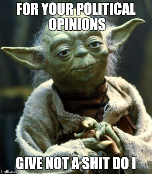 Star Wars Yoda | FOR YOUR POLITICAL OPINIONS; GIVE NOT A SHIT DO I | image tagged in memes,star wars yoda | made w/ Imgflip meme maker