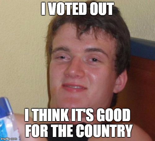 10 Guy | I VOTED OUT; I THINK IT'S GOOD FOR THE COUNTRY | image tagged in memes,10 guy,brexit,eu referendum,england,2016 | made w/ Imgflip meme maker