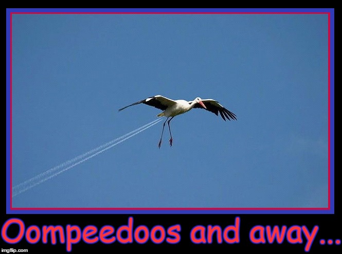 Oompeedoos and Away... | Oompeedoos and away... | image tagged in vince vance,look up in the sky,rocketbird,fart-propelled bird,poop-propelled bird | made w/ Imgflip meme maker