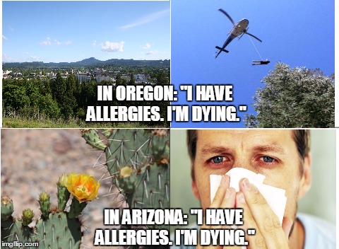 Allergies | IN OREGON: "I HAVE ALLERGIES. I'M DYING."; IN ARIZONA: "I HAVE ALLERGIES. I'M DYING." | image tagged in memes,what do we want,allergies,oregon,arizona,dying | made w/ Imgflip meme maker