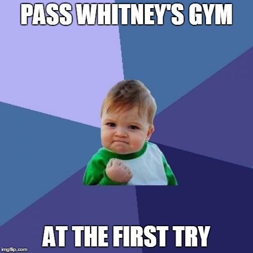 Success Kid Meme | PASS WHITNEY'S GYM; AT THE FIRST TRY | image tagged in memes,success kid | made w/ Imgflip meme maker