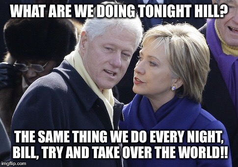 Don't vote Hillary!  | WHAT ARE WE DOING TONIGHT HILL? THE SAME THING WE DO EVERY NIGHT, BILL, TRY AND TAKE OVER THE WORLD!! | image tagged in hillary clinton | made w/ Imgflip meme maker