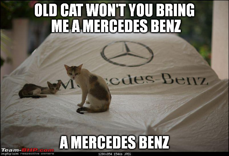 OLD CAT WON'T YOU BRING ME A MERCEDES BENZ A MERCEDES BENZ | made w/ Imgflip meme maker
