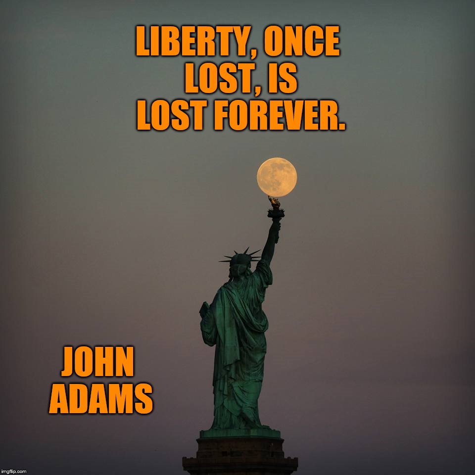 Liberty  | LIBERTY, ONCE LOST, IS LOST FOREVER. JOHN ADAMS | image tagged in independence day | made w/ Imgflip meme maker