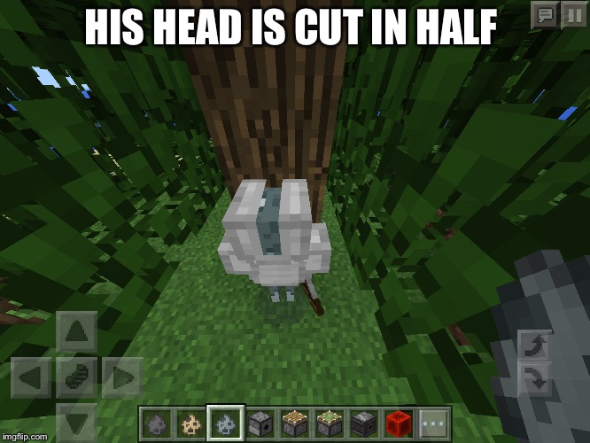 Minecraft head | HIS HEAD IS CUT IN HALF | image tagged in wierd | made w/ Imgflip meme maker