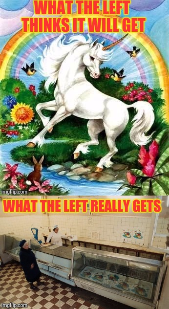 Bliss Ninnies Vote For Feelings | WHAT THE LEFT THINKS IT WILL GET; WHAT THE LEFT REALLY GETS | image tagged in left wing,democrats,special kind of stupid | made w/ Imgflip meme maker