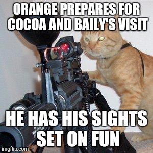 cat with gun | ORANGE PREPARES FOR COCOA AND BAILY'S VISIT; HE HAS HIS SIGHTS SET ON FUN | image tagged in cat with gun | made w/ Imgflip meme maker
