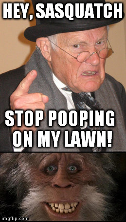 HEY, SASQUATCH; STOP POOPING ON MY LAWN! | image tagged in bigfoot | made w/ Imgflip meme maker