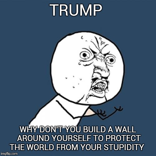 Y U No Meme | TRUMP; WHY DON'T YOU BUILD A WALL AROUND YOURSELF TO PROTECT THE WORLD FROM YOUR STUPIDITY | image tagged in memes,y u no | made w/ Imgflip meme maker