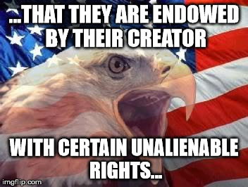 Patriotic Eagle | ...THAT THEY ARE ENDOWED BY THEIR CREATOR; WITH CERTAIN UNALIENABLE RIGHTS... | image tagged in patriotic eagle | made w/ Imgflip meme maker