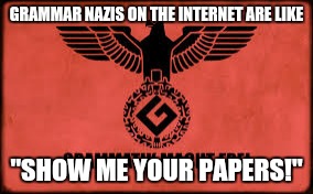 If you get a B or higher in grammar you should be fine. | GRAMMAR NAZIS ON THE INTERNET ARE LIKE; "SHOW ME YOUR PAPERS!" | image tagged in grammarschwitz | made w/ Imgflip meme maker