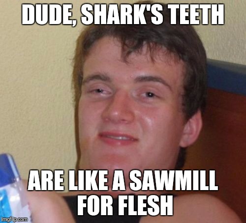 Shark's teeth | DUDE, SHARK'S TEETH; ARE LIKE A SAWMILL FOR FLESH | image tagged in memes,10 guy | made w/ Imgflip meme maker