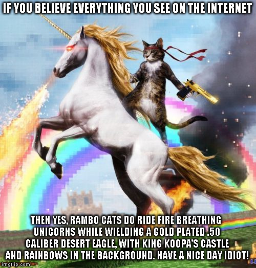 Welcome To The Internets | IF YOU BELIEVE EVERYTHING YOU SEE ON THE INTERNET; THEN YES, RAMBO CATS DO RIDE FIRE BREATHING UNICORNS WHILE WIELDING A GOLD PLATED .50 CALIBER DESERT EAGLE, WITH KING KOOPA'S CASTLE AND RAINBOWS IN THE BACKGROUND. HAVE A NICE DAY IDIOT! | image tagged in memes,welcome to the internets | made w/ Imgflip meme maker