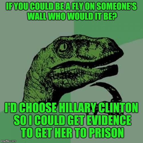 This is more of a comment meme than anything, would like to hear everyones response :l | IF YOU COULD BE A FLY ON SOMEONE'S WALL WHO WOULD IT BE? I'D CHOOSE HILLARY CLINTON SO I COULD GET EVIDENCE TO GET HER TO PRISON | image tagged in memes,philosoraptor | made w/ Imgflip meme maker
