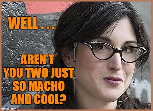 feminist Zeisler | WELL . . . AREN'T YOU TWO JUST SO MACHO AND COOL? | image tagged in feminist zeisler | made w/ Imgflip meme maker