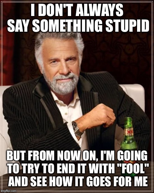 The Most Interesting Man In The World Meme | I DON'T ALWAYS SAY SOMETHING STUPID BUT FROM NOW ON, I'M GOING TO TRY TO END IT WITH "FOOL" AND SEE HOW IT GOES FOR ME | image tagged in memes,the most interesting man in the world | made w/ Imgflip meme maker
