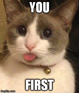 cat sticking tongue out | YOU FIRST | image tagged in cat sticking tongue out | made w/ Imgflip meme maker