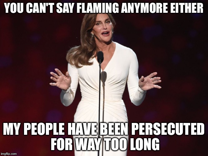 YOU CAN'T SAY FLAMING ANYMORE EITHER MY PEOPLE HAVE BEEN PERSECUTED FOR WAY TOO LONG | image tagged in kaitlyn | made w/ Imgflip meme maker