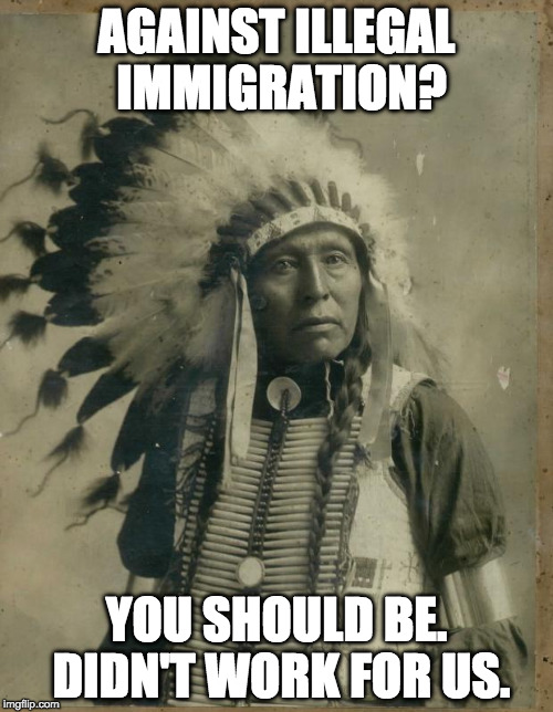 Learn from history. Don't repeat it because you feel guilty. Legal immigration is awesome. Illegal immigration is not awesome | AGAINST ILLEGAL IMMIGRATION? YOU SHOULD BE. DIDN'T WORK FOR US. | image tagged in indian illegal immigration,hillary clinton,donald trump,illegal immigration,immigration,native american | made w/ Imgflip meme maker