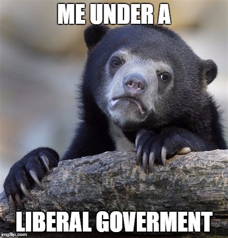 Confession Bear | ME UNDER A; LIBERAL GOVERMENT | image tagged in memes,confession bear | made w/ Imgflip meme maker