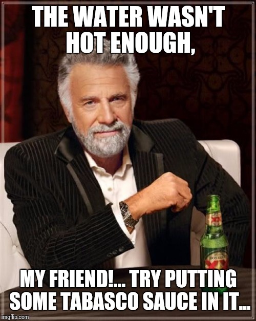 The Most Interesting Man In The World Meme | THE WATER WASN'T HOT ENOUGH, MY FRIEND!... TRY PUTTING SOME TABASCO SAUCE IN IT... | image tagged in memes,the most interesting man in the world | made w/ Imgflip meme maker