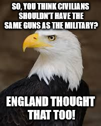 Homo Bald Eagle | SO, YOU THINK CIVILIANS SHOULDN'T HAVE THE SAME GUNS AS THE MILITARY? ENGLAND THOUGHT THAT TOO! | image tagged in homo bald eagle | made w/ Imgflip meme maker