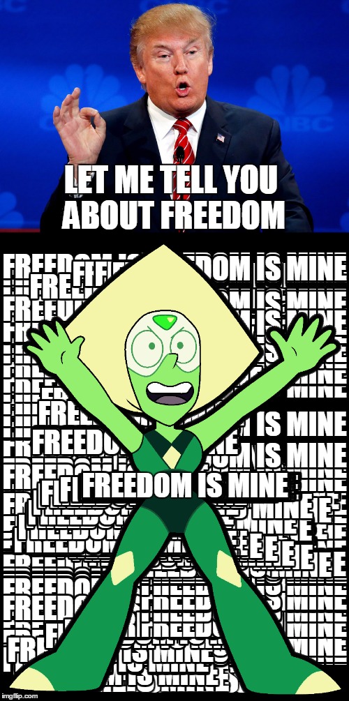 LET ME TELL YOU ABOUT FREEDOM; FREEDOM IS MINE | image tagged in funny,donald trump,peridot,steven universe,freedom | made w/ Imgflip meme maker