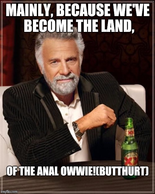 The Most Interesting Man In The World Meme | MAINLY, BECAUSE WE'VE BECOME THE LAND, OF THE ANAL OWWIE!(BUTTHURT) | image tagged in memes,the most interesting man in the world | made w/ Imgflip meme maker