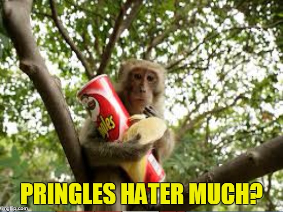 PRINGLES HATER MUCH? | made w/ Imgflip meme maker