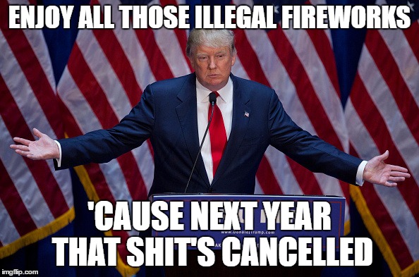 Donald Trump | ENJOY ALL THOSE ILLEGAL FIREWORKS; 'CAUSE NEXT YEAR THAT SHIT'S CANCELLED | image tagged in donald trump | made w/ Imgflip meme maker