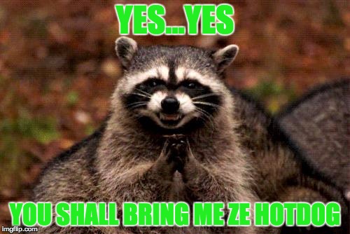 Evil Plotting Raccoon Meme | YES...YES; YOU SHALL BRING ME ZE HOTDOG | image tagged in memes,evil plotting raccoon | made w/ Imgflip meme maker