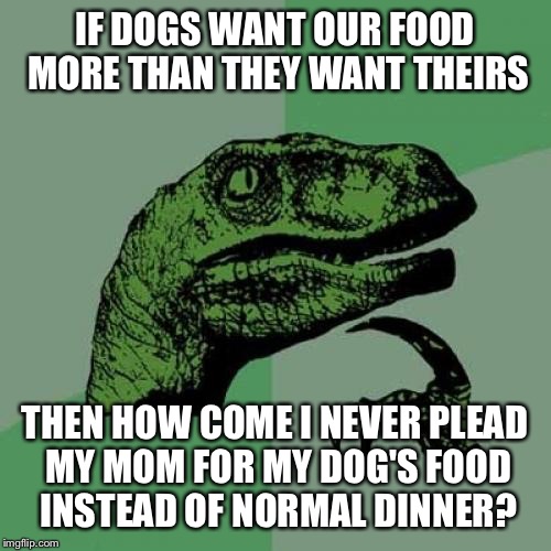 Philosoraptor | IF DOGS WANT OUR FOOD MORE THAN THEY WANT THEIRS; THEN HOW COME I NEVER PLEAD MY MOM FOR MY DOG'S FOOD INSTEAD OF NORMAL DINNER? | image tagged in memes,philosoraptor | made w/ Imgflip meme maker