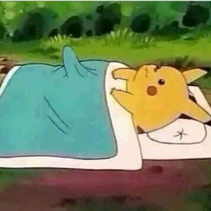 pikaerection Blank Meme Template