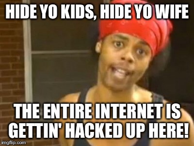 So this is what the Internet has come down to.... For real poodlecorp.... | HIDE YO KIDS, HIDE YO WIFE; THE ENTIRE INTERNET IS GETTIN' HACKED UP HERE! | image tagged in memes,hide yo kids hide yo wife,hackers,hey internet | made w/ Imgflip meme maker