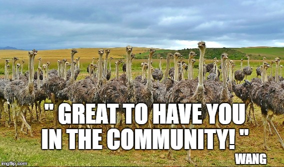 Great to have you in the community | " GREAT TO HAVE YOU IN THE COMMUNITY! "; WANG | image tagged in wang | made w/ Imgflip meme maker