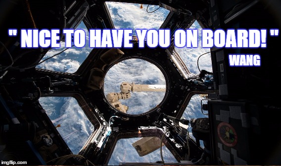 Nice to have you on board | " NICE TO HAVE YOU ON BOARD! "; WANG | image tagged in wang steem | made w/ Imgflip meme maker