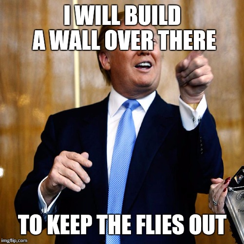 I WILL BUILD A WALL OVER THERE TO KEEP THE FLIES OUT | made w/ Imgflip meme maker