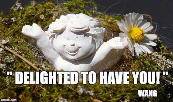 " DELIGHTED TO HAVE YOU! "; WANG | made w/ Imgflip meme maker