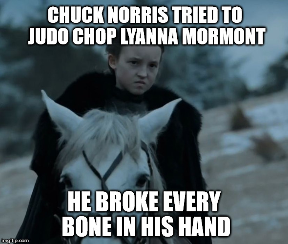 Lyanna Mormont | CHUCK NORRIS TRIED TO JUDO CHOP LYANNA MORMONT; HE BROKE EVERY BONE IN HIS HAND | image tagged in lyanna mormont | made w/ Imgflip meme maker