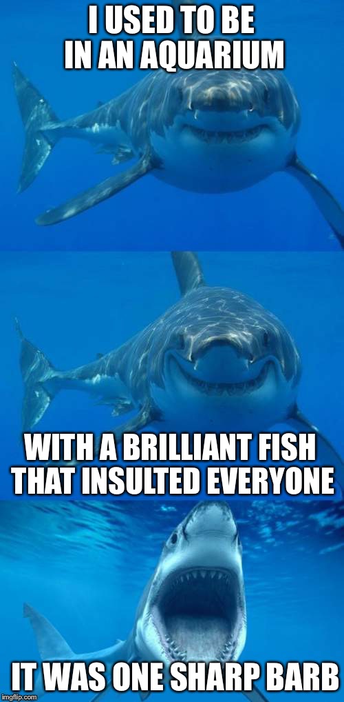 Bad Shark Pun  | I USED TO BE IN AN AQUARIUM; WITH A BRILLIANT FISH THAT INSULTED EVERYONE; IT WAS ONE SHARP BARB | image tagged in bad shark pun | made w/ Imgflip meme maker