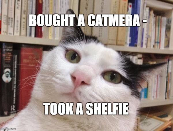 bookshelfkitty | BOUGHT A CATMERA -; TOOK A SHELFIE | image tagged in bookshelfkitty | made w/ Imgflip meme maker