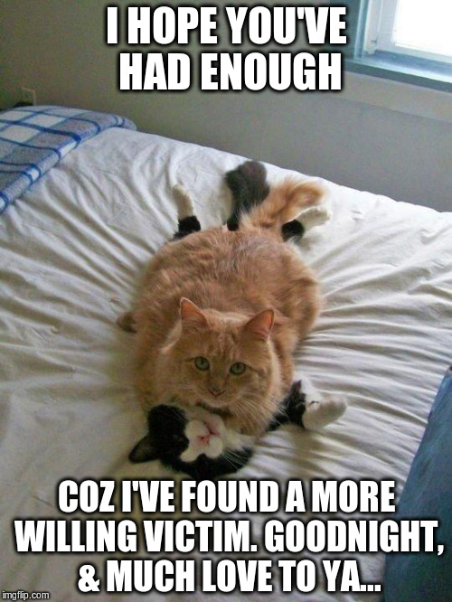 funny cats |  I HOPE YOU'VE HAD ENOUGH; COZ I'VE FOUND A MORE WILLING VICTIM.
GOODNIGHT, & MUCH LOVE TO YA... | image tagged in funny cats | made w/ Imgflip meme maker