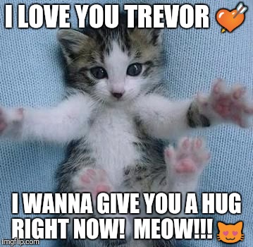 I love you this much  | I LOVE YOU TREVOR 💘; I WANNA GIVE YOU A HUG RIGHT NOW! 
MEOW!!! 😻 | image tagged in i love you this much | made w/ Imgflip meme maker