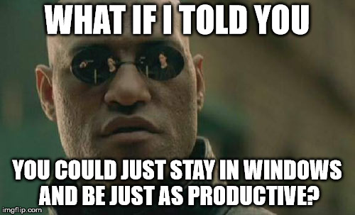 Matrix Morpheus Meme | WHAT IF I TOLD YOU YOU COULD JUST STAY IN WINDOWS AND BE JUST AS PRODUCTIVE? | image tagged in memes,matrix morpheus | made w/ Imgflip meme maker